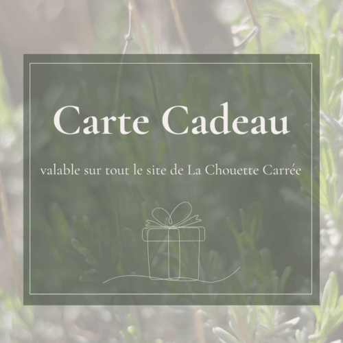 cadeau la chouette carrée