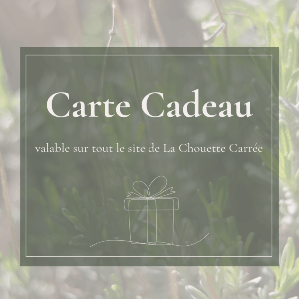 cadeau la chouette carrée