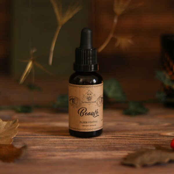 regarder la beauté du monde