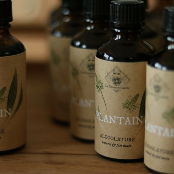 alcoolature plantain