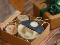 découverte plantes médicinales